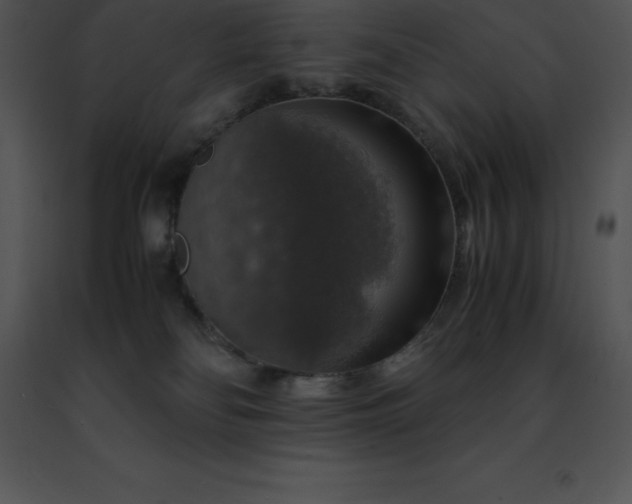 X0000091490134200708301944