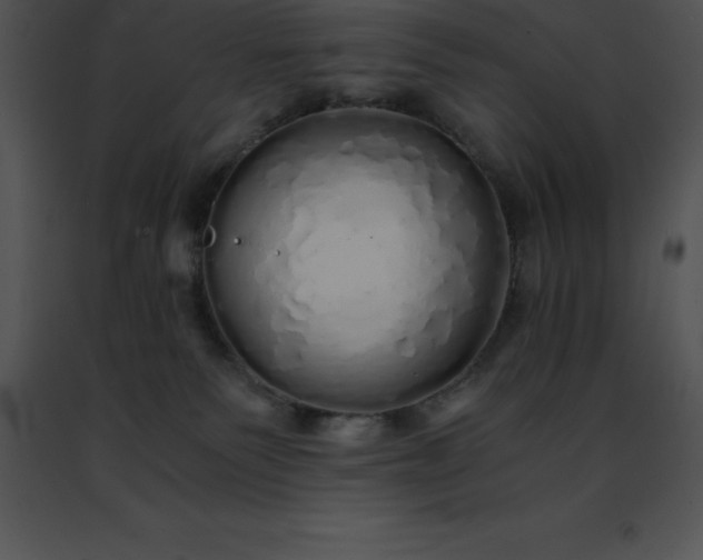 X0000091490135200708301944