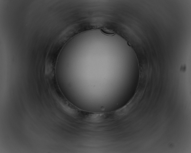 X0000091490136200708301944