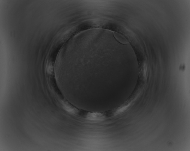 X0000091490137200708301944