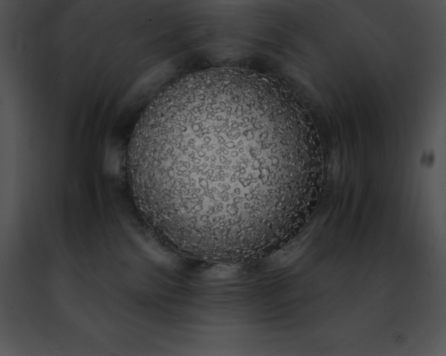 X0000091490138200708301944