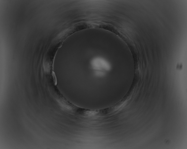 X0000091490139200708301944