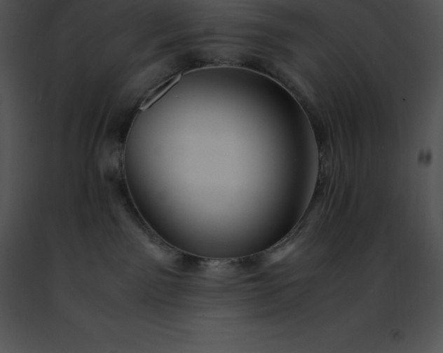 X0000091490141200708301944