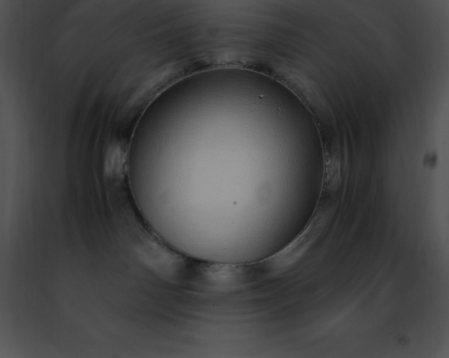 X0000091490142200708301944