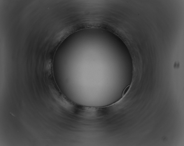 X0000091490144200708301944