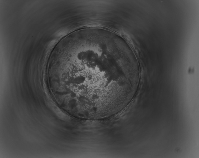 X0000091490145200708301943