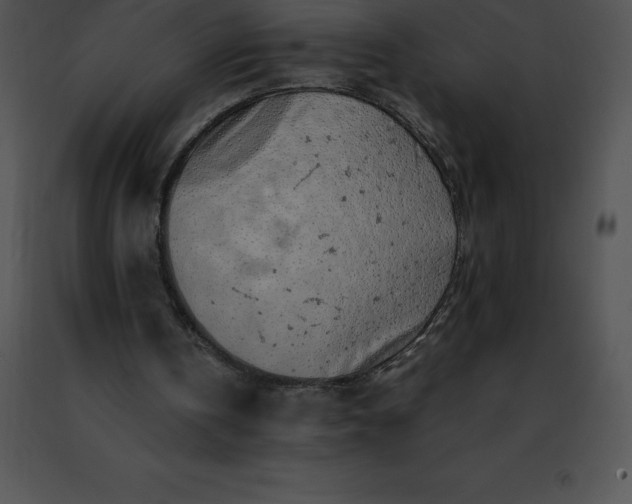 X0000091490146200708301943