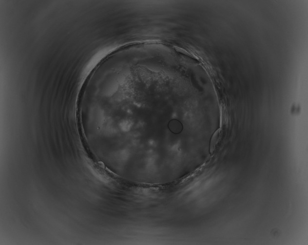 X0000091490147200708301943