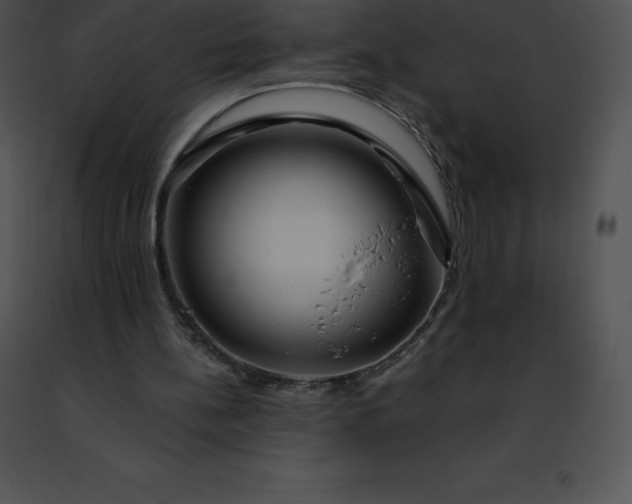 X0000091490148200708301943