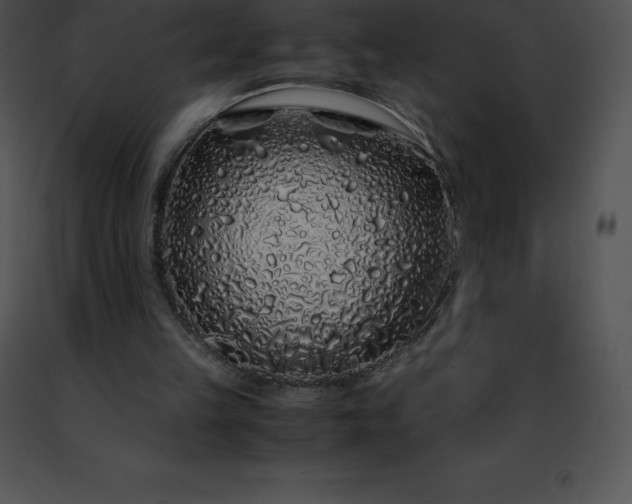 X0000091490149200708301943