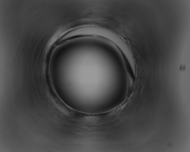 X0000091490150200708301943