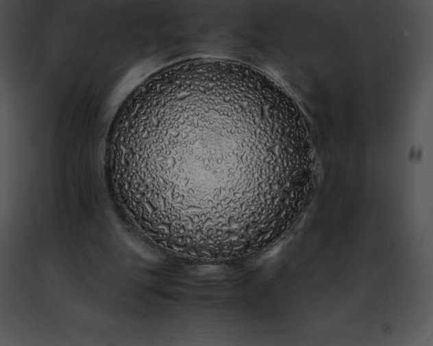 X0000091490151200708301943