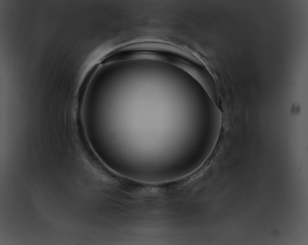 X0000091490152200708301943