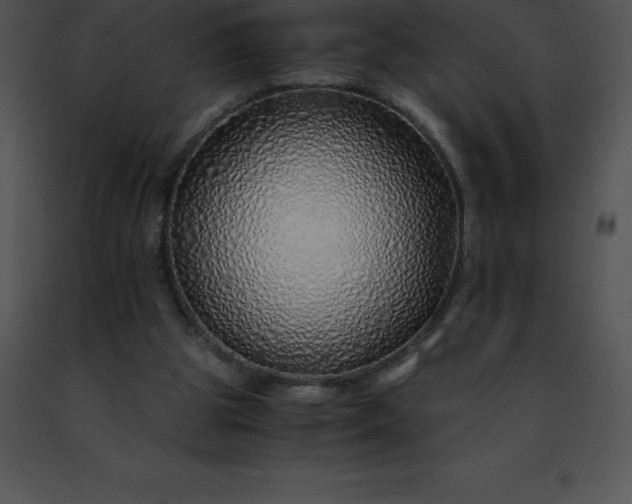 X0000091490153200708301943