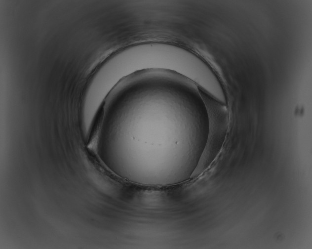 X0000091490154200708301943