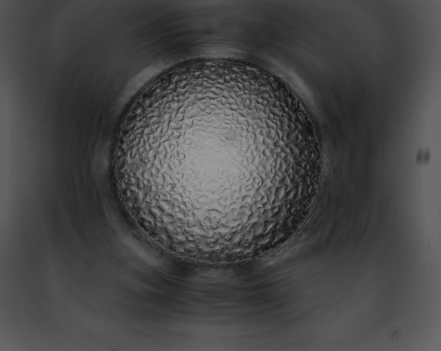 X0000091490155200708301943