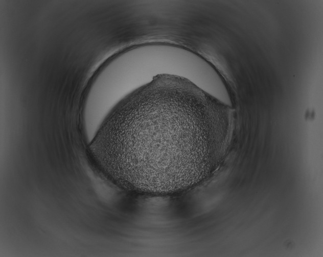 X0000091490156200708301943