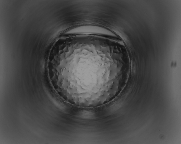 X0000091490157200708301943