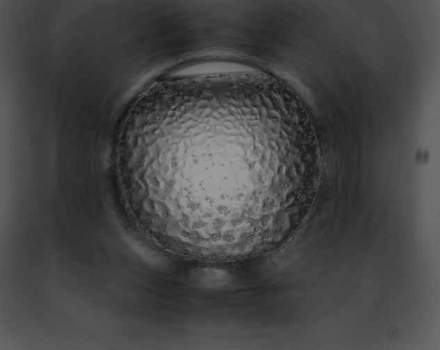 X0000091490159200708301943