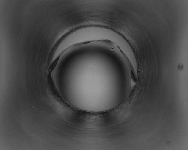 X0000091490160200708301943