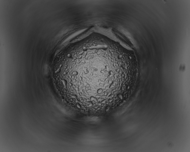 X0000091490161200708301943