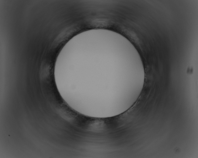 X0000091490162200708301943