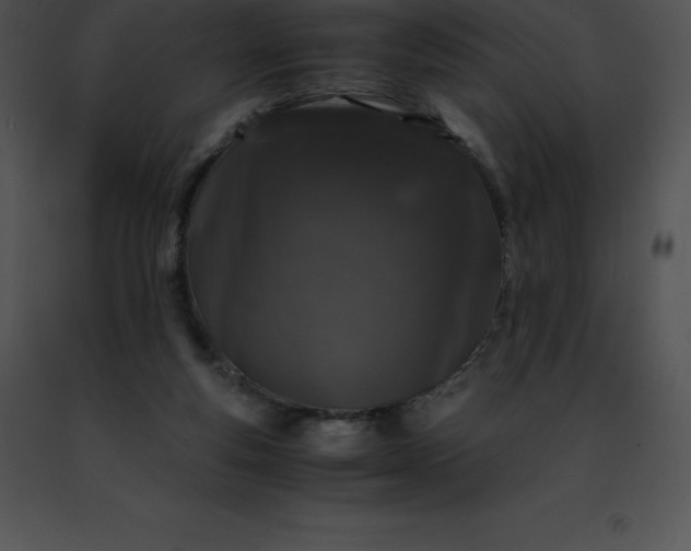 X0000091490163200708301943