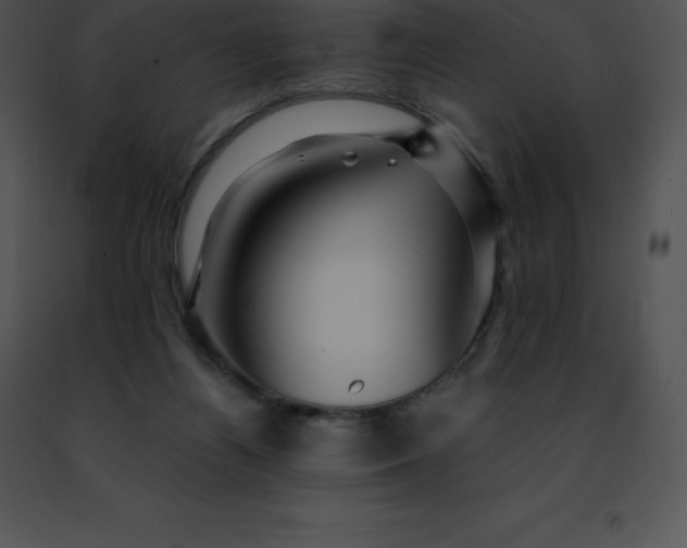 X0000091490164200708301943