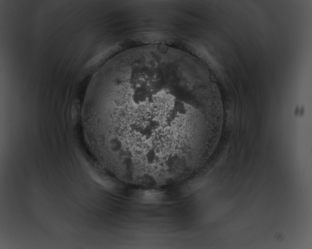 X0000091490165200708301943