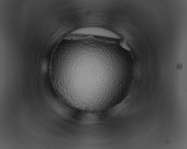 X0000091490166200708301943