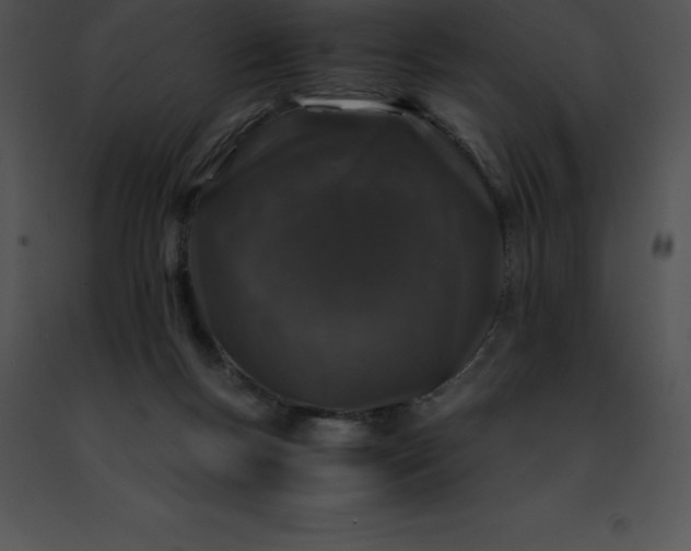 X0000091490167200708301943