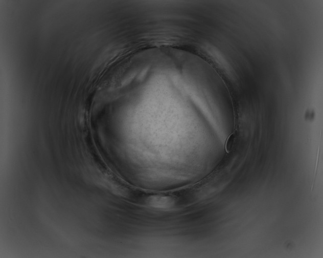 X0000091490169200708301943