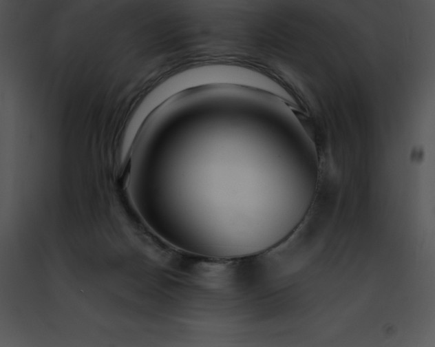 X0000091490170200708301943