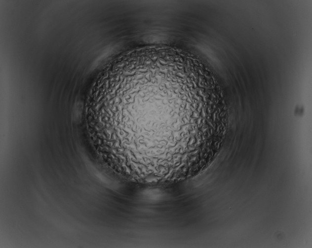 X0000091490171200708301943