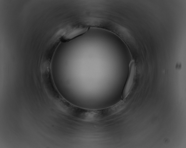 X0000091490172200708301943