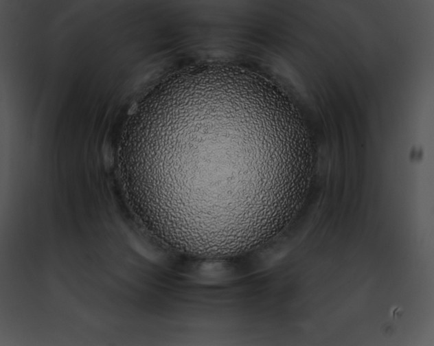 X0000091490173200708301943