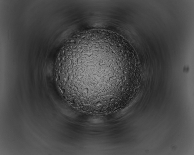 X0000091490175200708301943