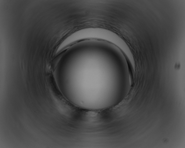 X0000091490176200708301943