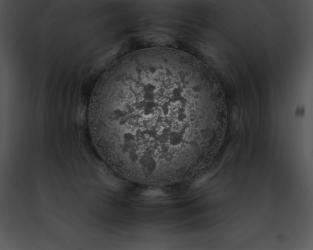 X0000091490177200708301943