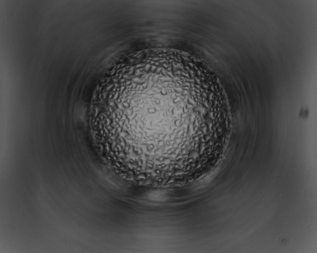 X0000091490178200708301943