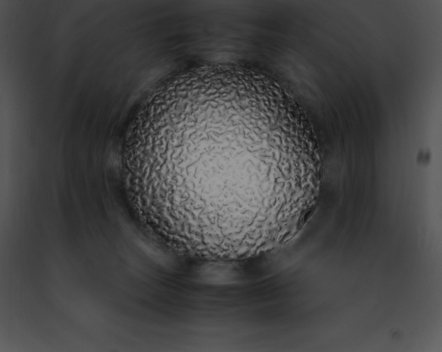 X0000091490179200708301943