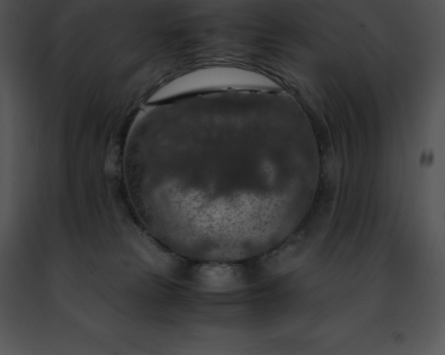 X0000091490181200708301943