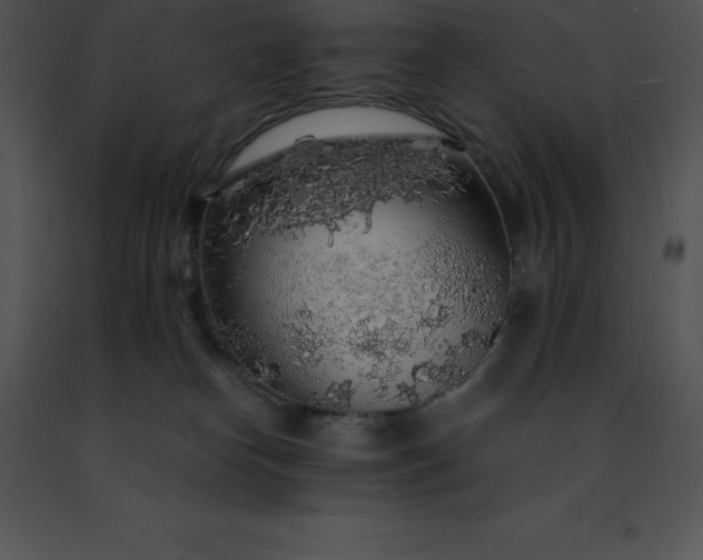 X0000091490182200708301943