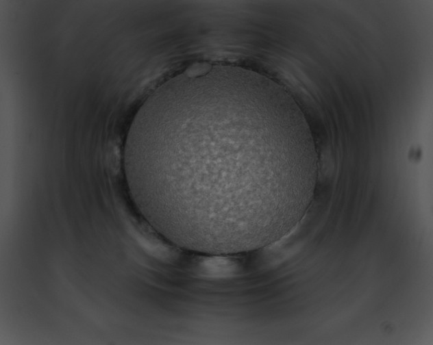 X0000091490183200708301943