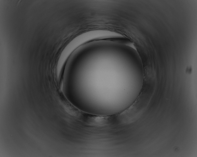 X0000091490184200708301943