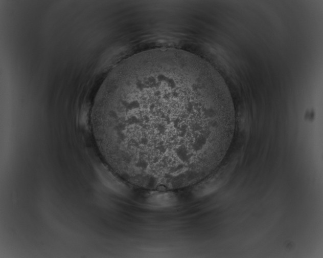 X0000091490185200708301943