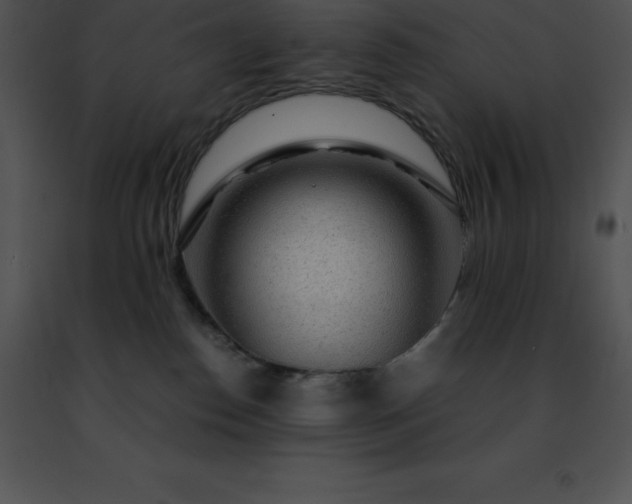 X0000091490186200708301944