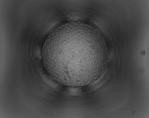 X0000091490187200708301944