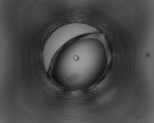 X0000091490188200708301944