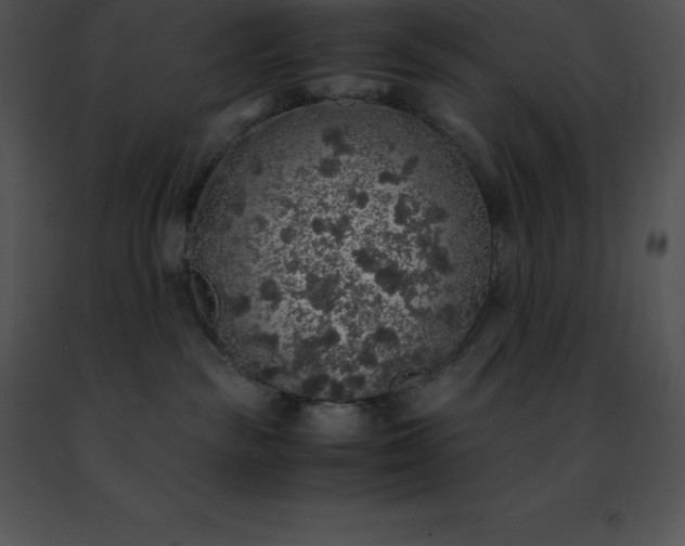 X0000091490189200708301944